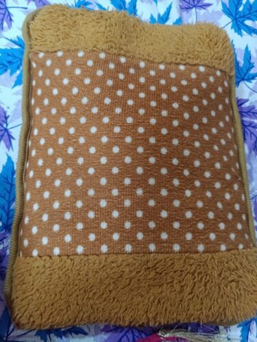 Electronic Hot Water Bag photo review
